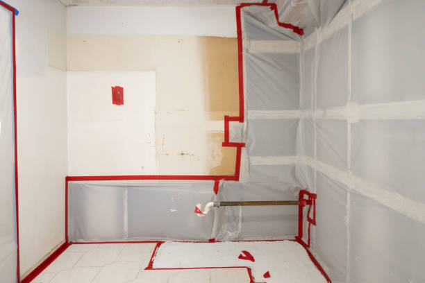 Best Real Estate Mold Inspection  in Crouch Mesa, NM